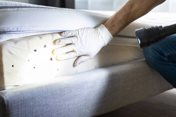 District Heights, MD Pest Control Company